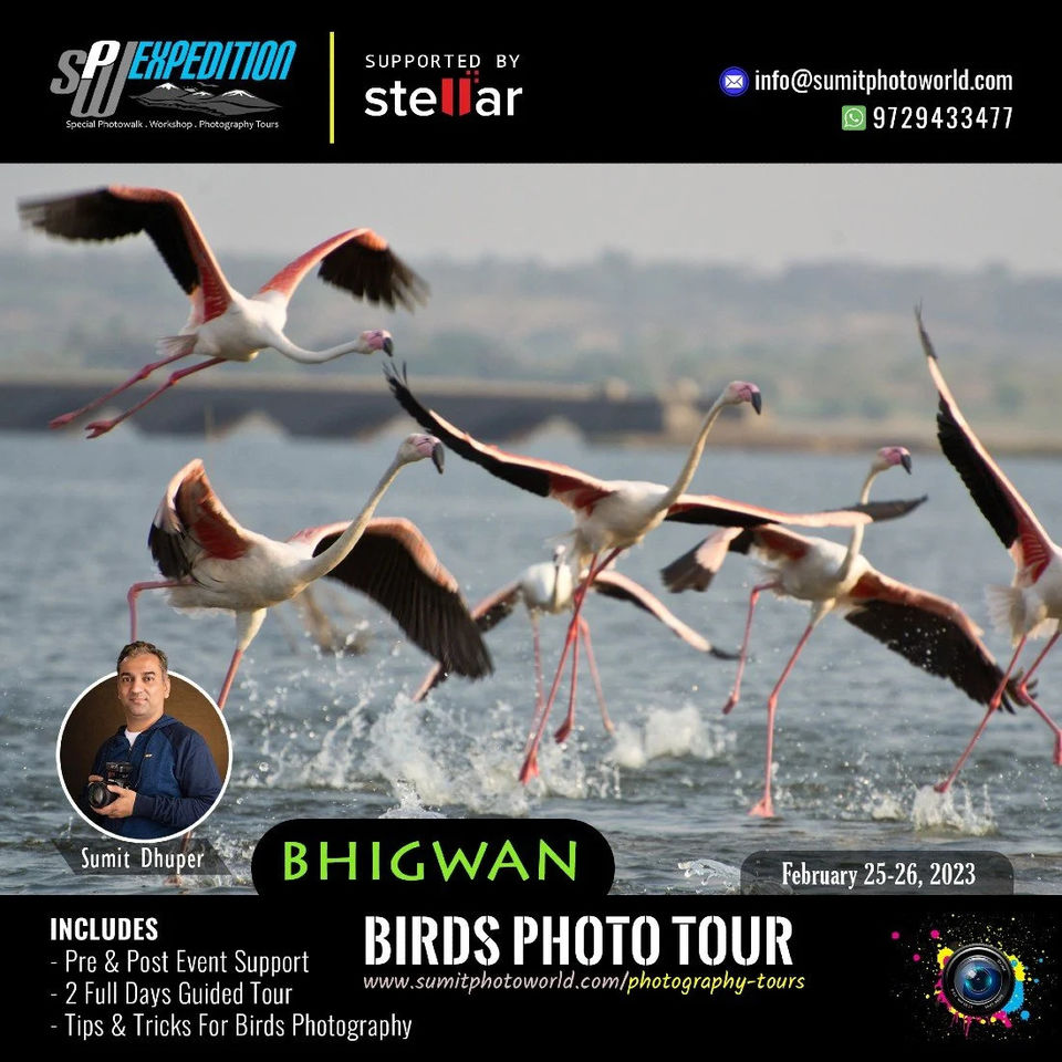 Photo of Birds Photo Tour – Bhigwan, 25 Feb, 2023 by naman singh