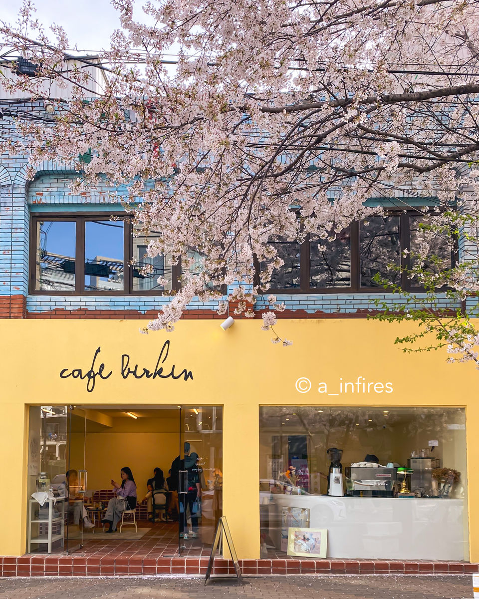 Photo of WHY YOU SHOULD VISIT SEOUL IN SPRING AND WHAT TO SEE by A Arya