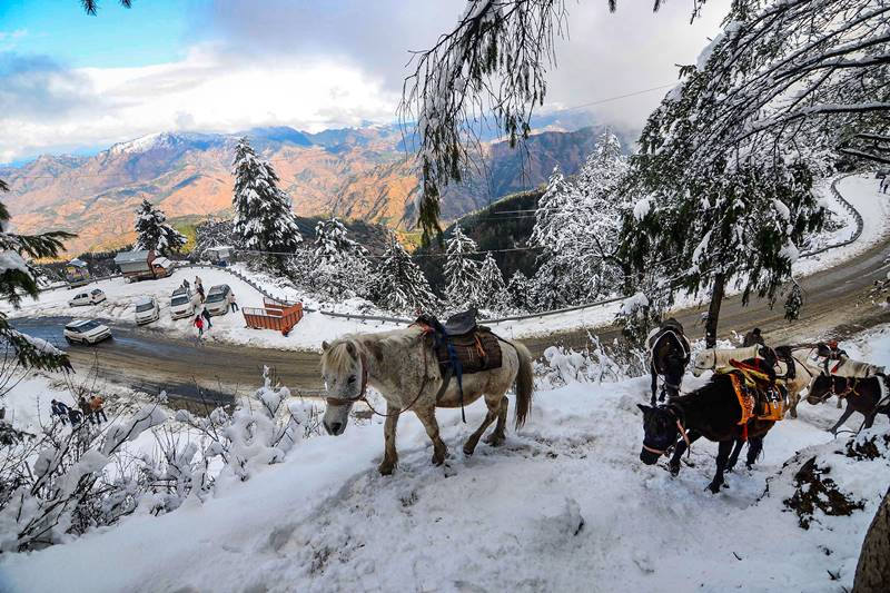 Photo of Nainital - A Complete Travel Guide by N Madhuri