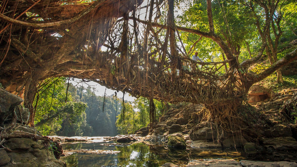 Photo of Roll Up Your Sleeves and Hit the Roads This Monsoon to Experience Some Unique Things in India by Tanvi Shah (travelstoriesbytan)