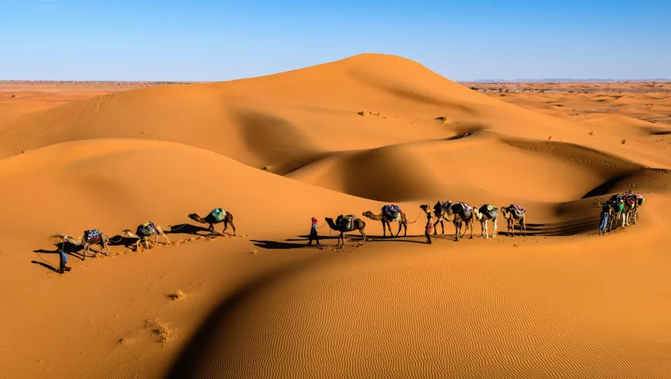 Photo of Thar Desert, Rajasthan by Tanvi Shah (travelstoriesbytan)