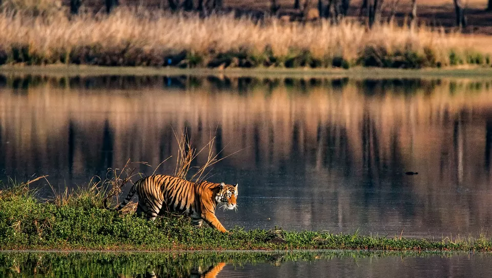 Photo of Sundarbans by Tanvi Shah (travelstoriesbytan)