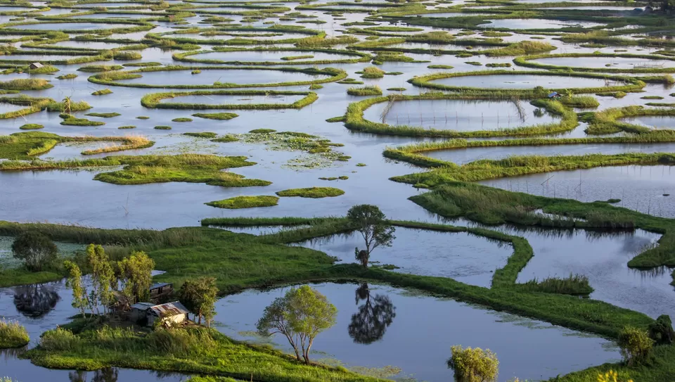 Photo of Loktak Lake, Manipur by Tanvi Shah (travelstoriesbytan)