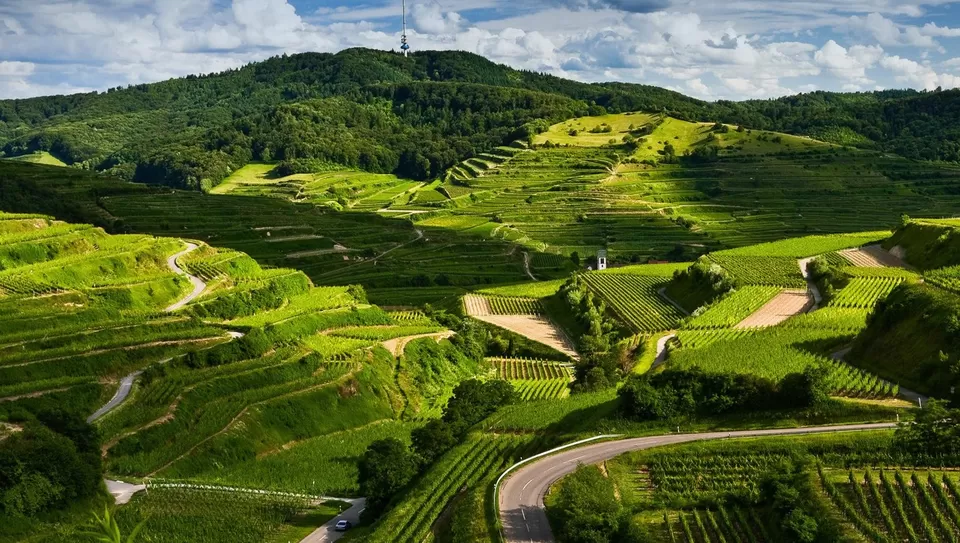 Photo of Kodagu, Karnataka by Tanvi Shah (travelstoriesbytan)