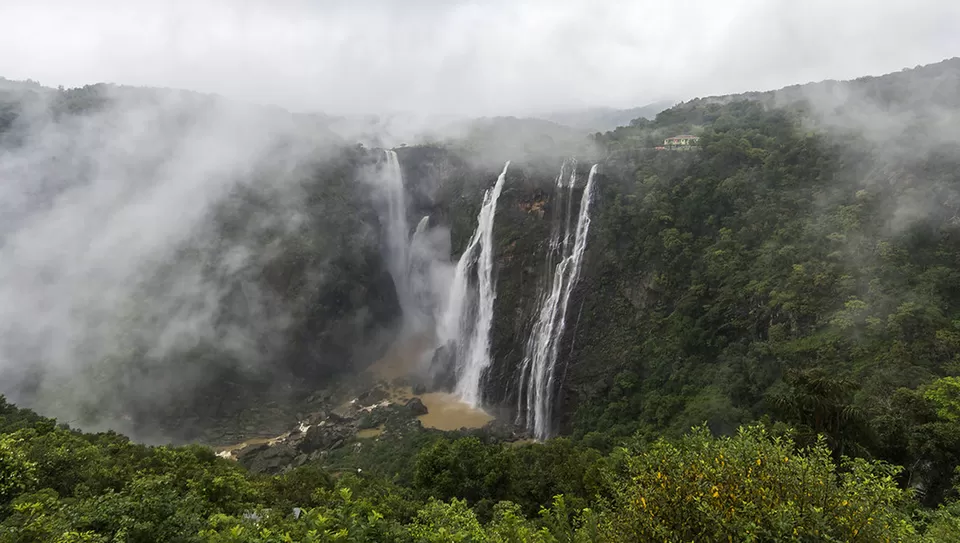 Photo of Jog Falls, Shimoga by Tanvi Shah (travelstoriesbytan)