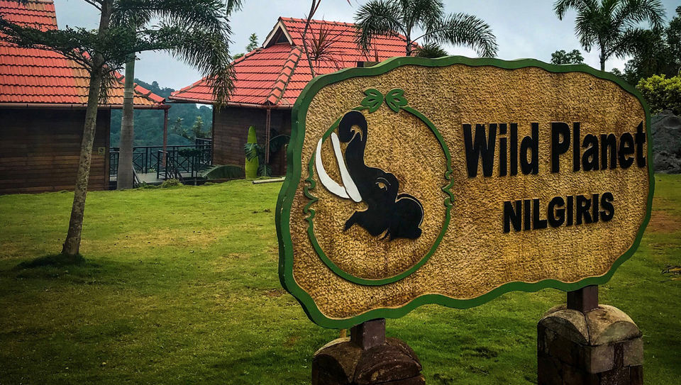 Photo of Wild Planet Resort, Devala by Tanvi Shah (travelstoriesbytan)