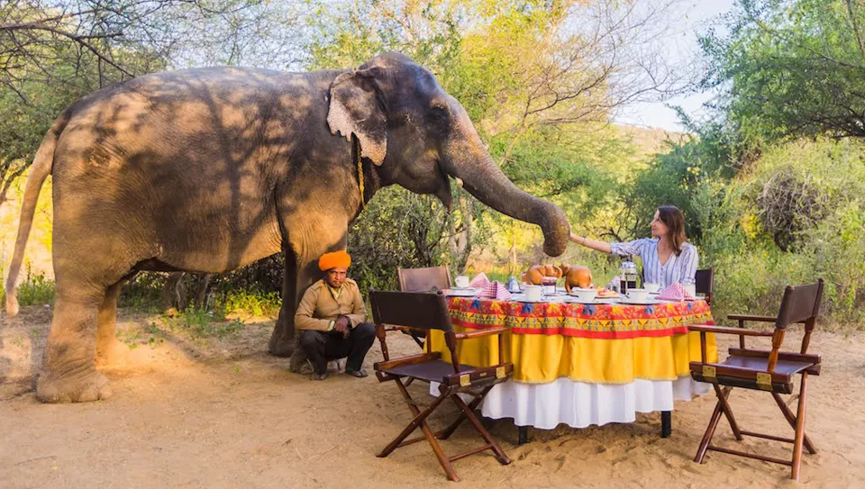 Photo of Dera Amer Wilderness Camp, Jaipur by Tanvi Shah (travelstoriesbytan)