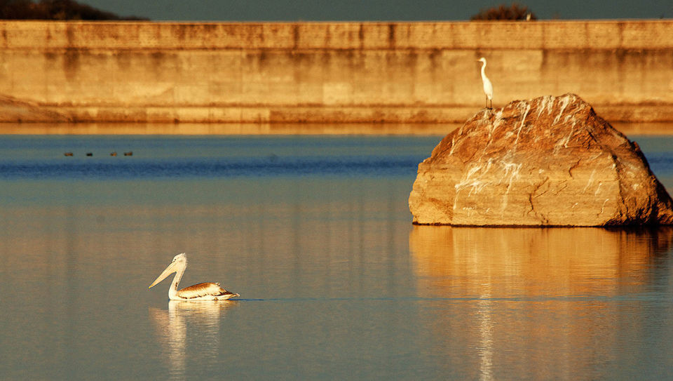 Photo of Best Destinations near Jaipur, Udaipur, & Jaisalmer That Must Be on Your Travel Bucket List by Tanvi Shah
