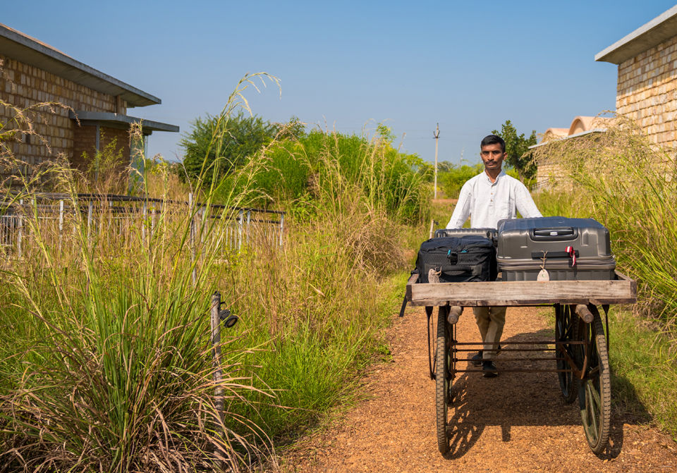 Photo of Located 2.5 Hours From Nagpur, This Unique Wildlife Eco-Resort Offers A Bespoke Holiday Experience! by Tanvi Shah (travelstoriesbytan)