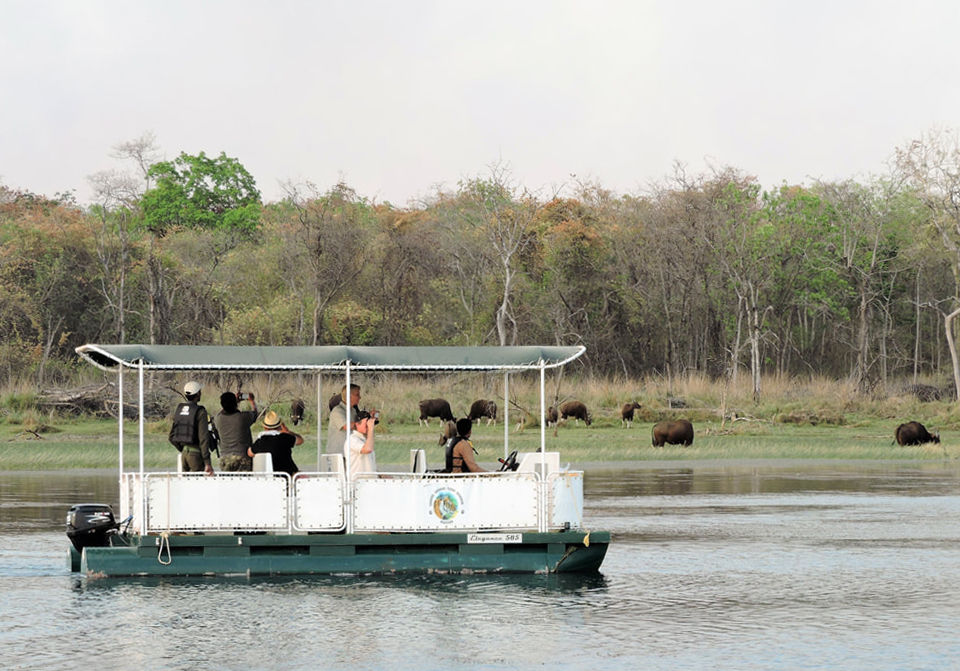 Photo of Located 2.5 Hours From Nagpur, This Unique Wildlife Eco-Resort Offers A Bespoke Holiday Experience! by Tanvi Shah (travelstoriesbytan)