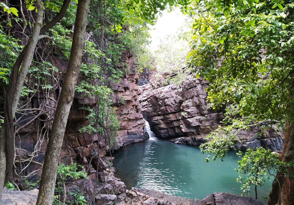 Photo of Located 2.5 Hours From Nagpur, This Unique Wildlife Eco-Resort Offers A Bespoke Holiday Experience! by Tanvi Shah (travelstoriesbytan)