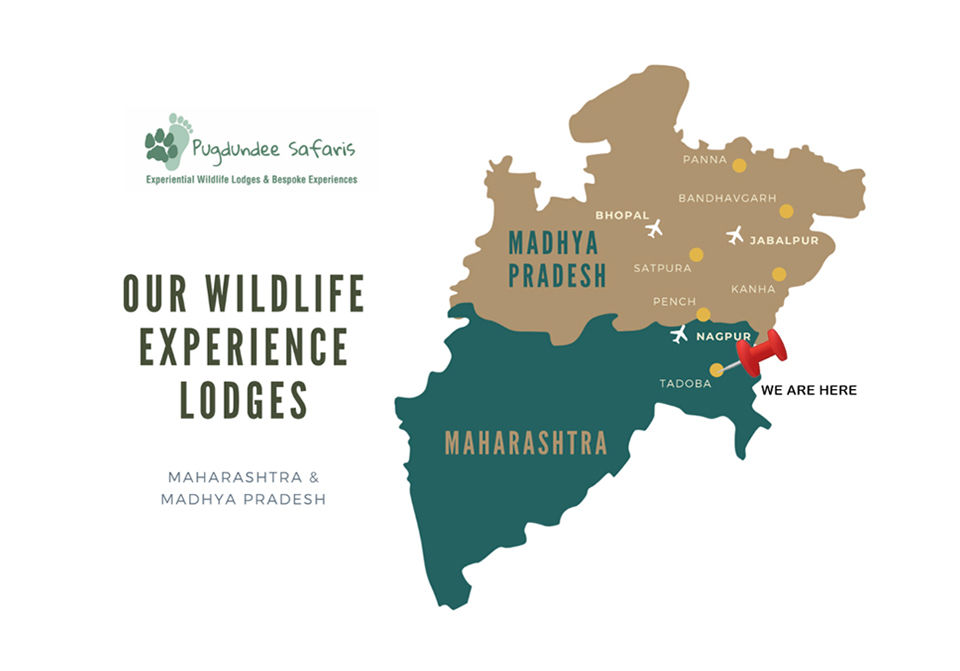 Photo of Located 2.5 Hours From Nagpur, This Unique Wildlife Eco-Resort Offers A Bespoke Holiday Experience! by Tanvi Shah (travelstoriesbytan)