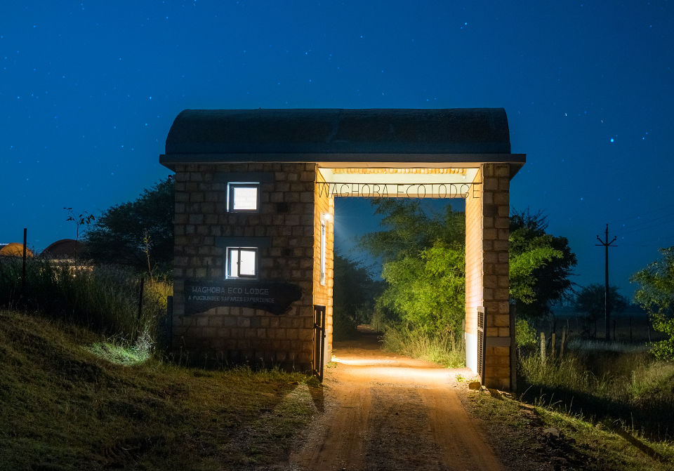 Photo of Located 2.5 Hours From Nagpur, This Unique Wildlife Eco-Resort Offers A Bespoke Holiday Experience! by Tanvi Shah (travelstoriesbytan)