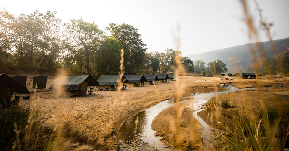 Photo of Like Walking Through A Jungle Book: Walking Safari With Mobile Camping In The Jungles Of Satpura! by Tanvi Shah (travelstoriesbytan)