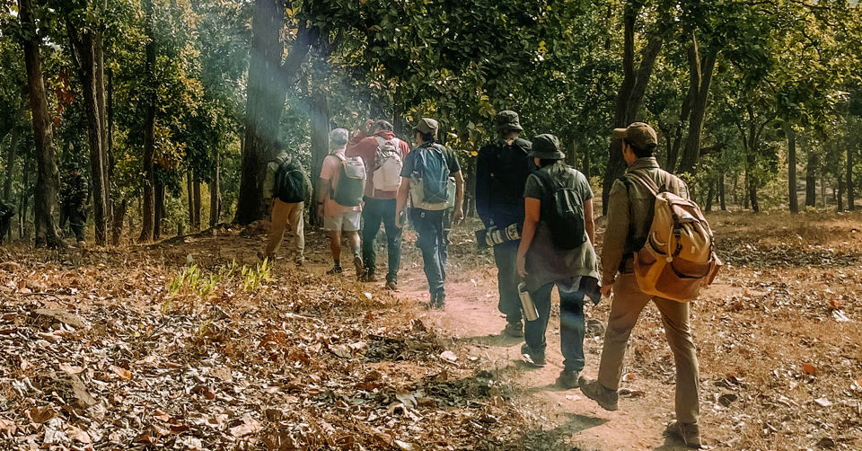 Photo of Like Walking Through A Jungle Book: Walking Safari With Mobile Camping In The Jungles Of Satpura! by Tanvi Shah (travelstoriesbytan)