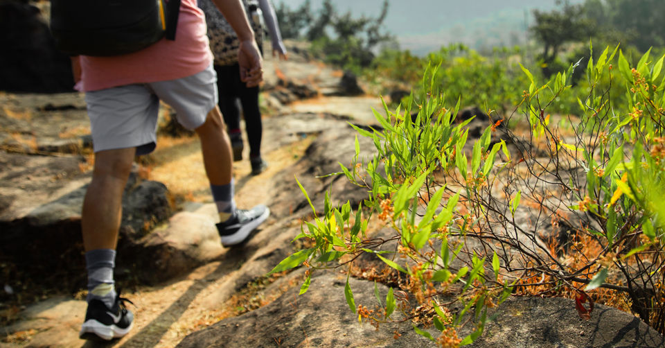 Photo of Like Walking Through A Jungle Book: Walking Safari With Mobile Camping In The Jungles Of Satpura! by Tanvi Shah (travelstoriesbytan)