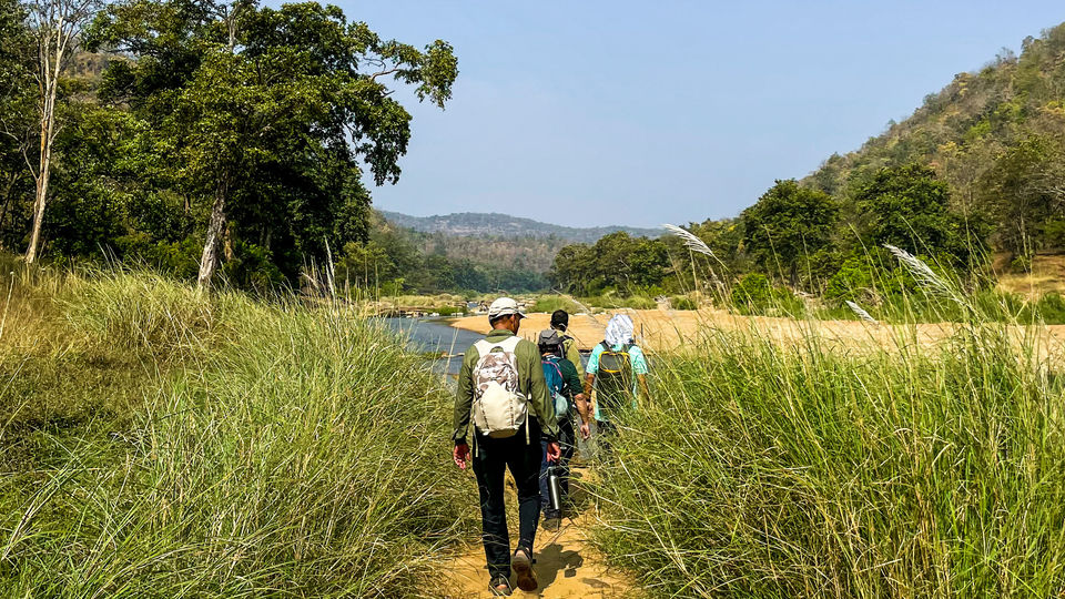 Photo of Like Walking Through A Jungle Book: Walking Safari With Mobile Camping In The Jungles Of Satpura! by Tanvi Shah (travelstoriesbytan)