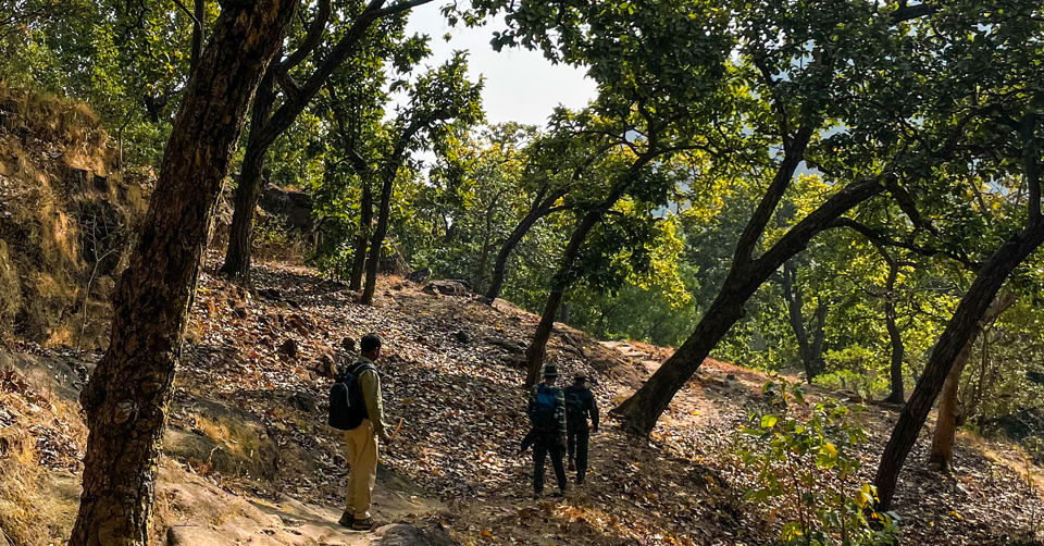 Photo of Like Walking Through A Jungle Book: Walking Safari With Mobile Camping In The Jungles Of Satpura! by Tanvi Shah (travelstoriesbytan)