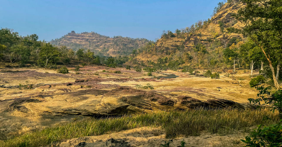 Photo of Like Walking Through A Jungle Book: Walking Safari With Mobile Camping In The Jungles Of Satpura! by Tanvi Shah (travelstoriesbytan)