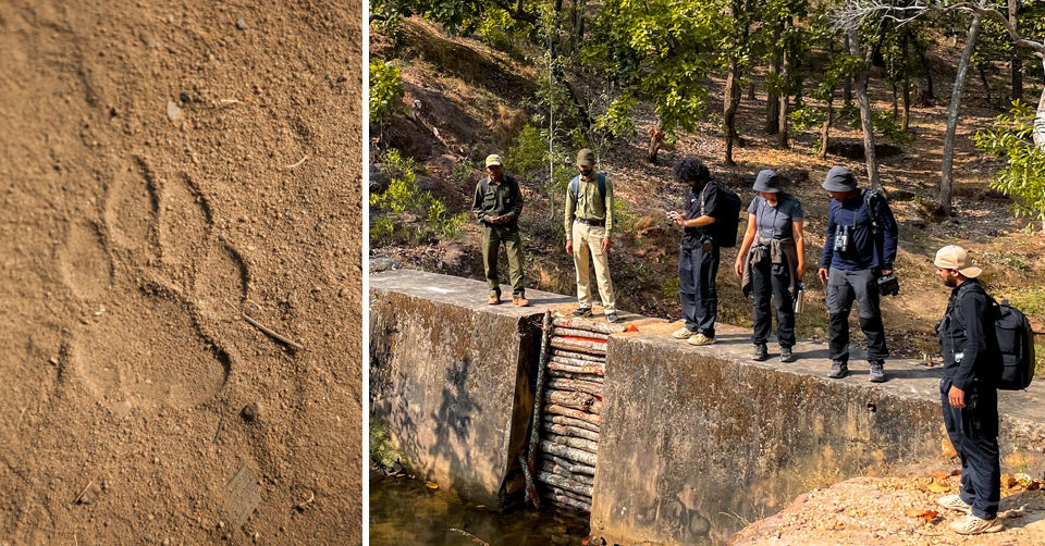 Photo of Like Walking Through A Jungle Book: Walking Safari With Mobile Camping In The Jungles Of Satpura! by Tanvi Shah (travelstoriesbytan)