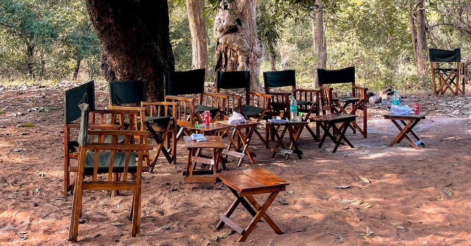 Photo of Like Walking Through A Jungle Book: Walking Safari With Mobile Camping In The Jungles Of Satpura! by Tanvi Shah (travelstoriesbytan)