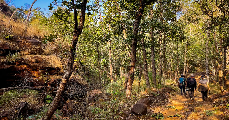 Photo of Like Walking Through A Jungle Book: Walking Safari With Mobile Camping In The Jungles Of Satpura! by Tanvi Shah (travelstoriesbytan)
