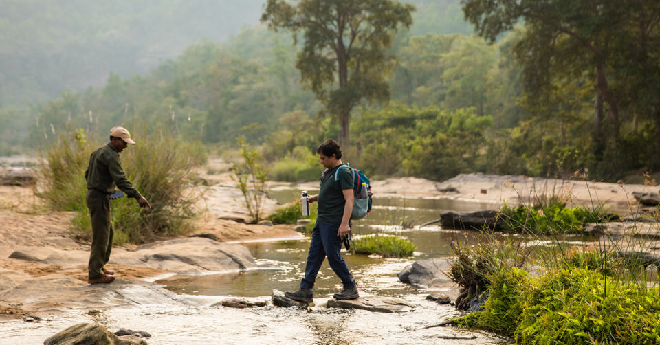 Photo of Like Walking Through A Jungle Book: Walking Safari With Mobile Camping In The Jungles Of Satpura! by Tanvi Shah (travelstoriesbytan)