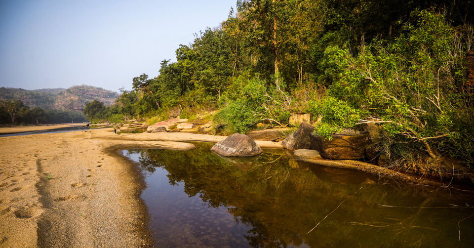 Photo of Like Walking Through A Jungle Book: Walking Safari With Mobile Camping In The Jungles Of Satpura! by Tanvi Shah (travelstoriesbytan)