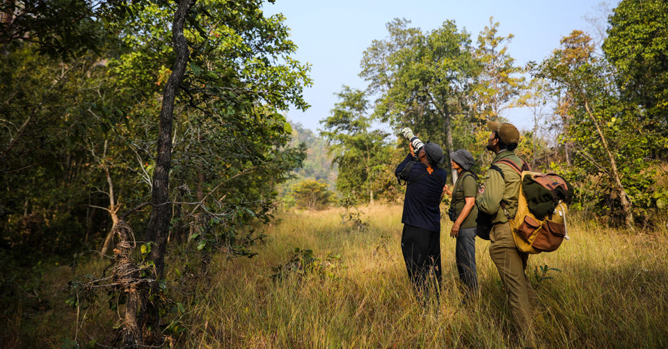 Photo of Like Walking Through A Jungle Book: Walking Safari With Mobile Camping In The Jungles Of Satpura! by Tanvi Shah (travelstoriesbytan)