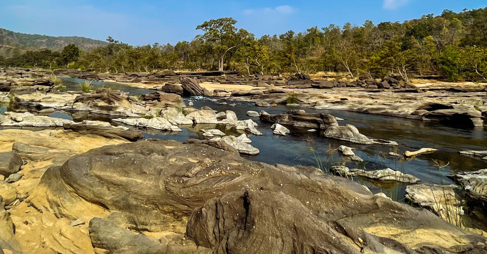 Photo of Like Walking Through A Jungle Book: Walking Safari With Mobile Camping In The Jungles Of Satpura! by Tanvi Shah (travelstoriesbytan)