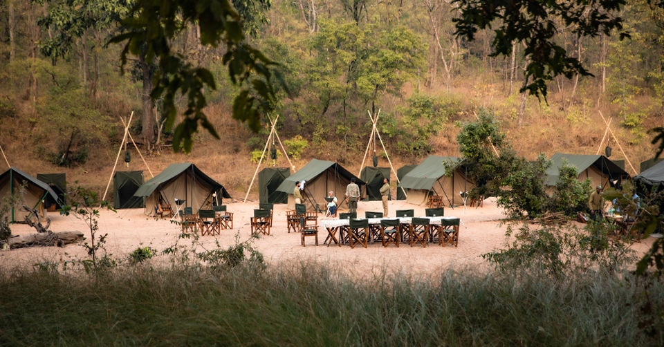 Photo of Like Walking Through A Jungle Book: Walking Safari With Mobile Camping In The Jungles Of Satpura! by Tanvi Shah (travelstoriesbytan)