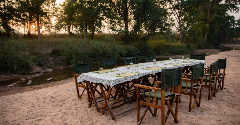 Photo of Like Walking Through A Jungle Book: Walking Safari With Mobile Camping In The Jungles Of Satpura! by Tanvi Shah (travelstoriesbytan)