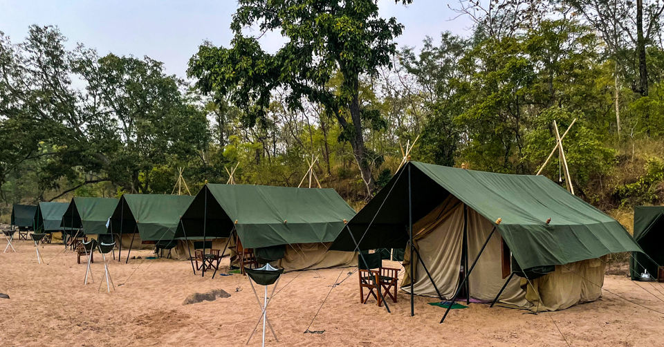 Photo of Like Walking Through A Jungle Book: Walking Safari With Mobile Camping In The Jungles Of Satpura! by Tanvi Shah (travelstoriesbytan)