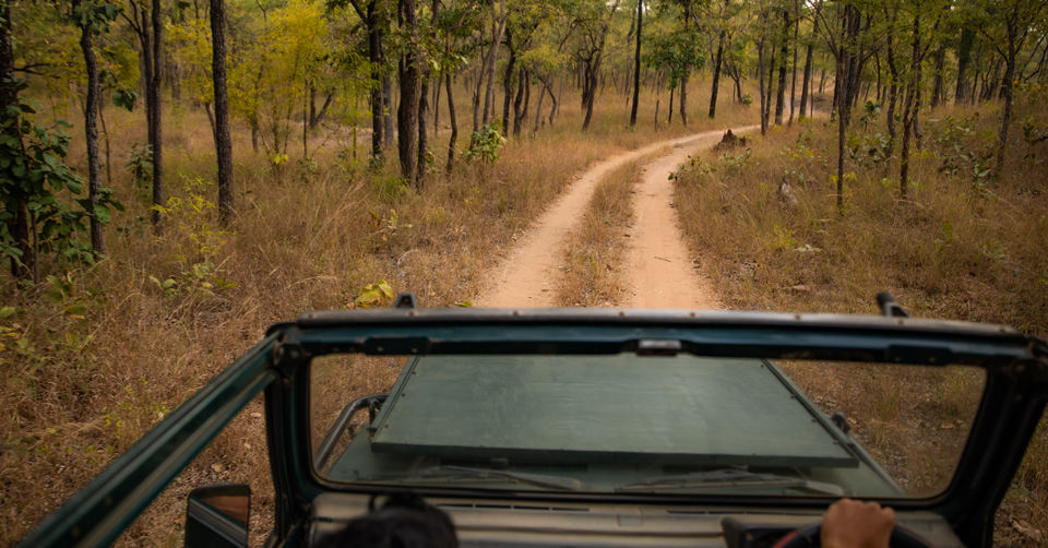 Photo of Like Walking Through A Jungle Book: Walking Safari With Mobile Camping In The Jungles Of Satpura! by Tanvi Shah (travelstoriesbytan)