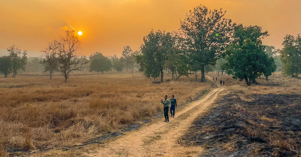 Photo of Like Walking Through A Jungle Book: Walking Safari With Mobile Camping In The Jungles Of Satpura! by Tanvi Shah (travelstoriesbytan)