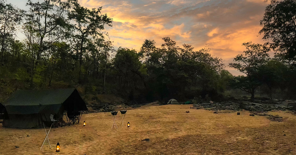 Photo of Like Walking Through A Jungle Book: Walking Safari With Mobile Camping In The Jungles Of Satpura! by Tanvi Shah (travelstoriesbytan)