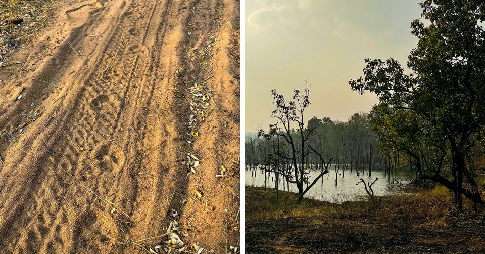 Photo of Like Walking Through A Jungle Book: Walking Safari With Mobile Camping In The Jungles Of Satpura! by Tanvi Shah (travelstoriesbytan)