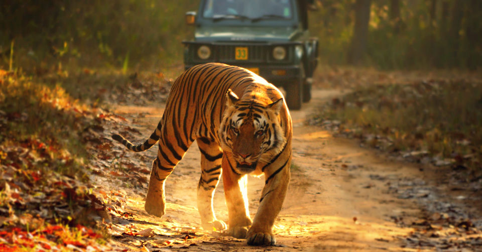 Photo of India by Tanvi Shah (travelstoriesbytan)