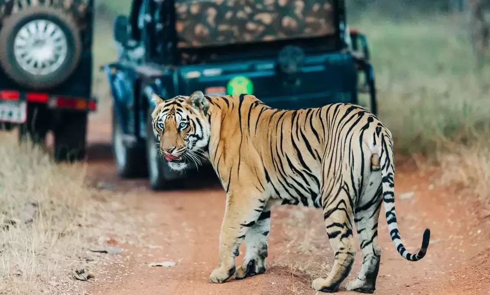 Photo of Maharashtra, India by Tanvi Shah (travelstoriesbytan)