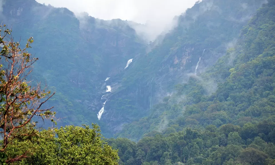 Photo of Kunchikal Falls, Mysore Division by Tanvi Shah (travelstoriesbytan)