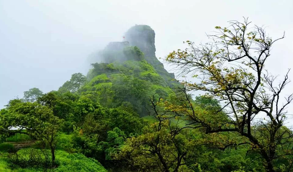Photo of Karnala, Konkan Division by Tanvi Shah (travelstoriesbytan)