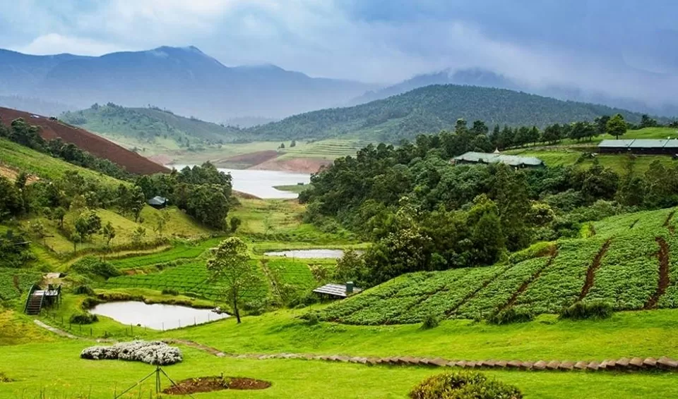 Photo of Koroli, Nashik Division by Tanvi Shah (travelstoriesbytan)