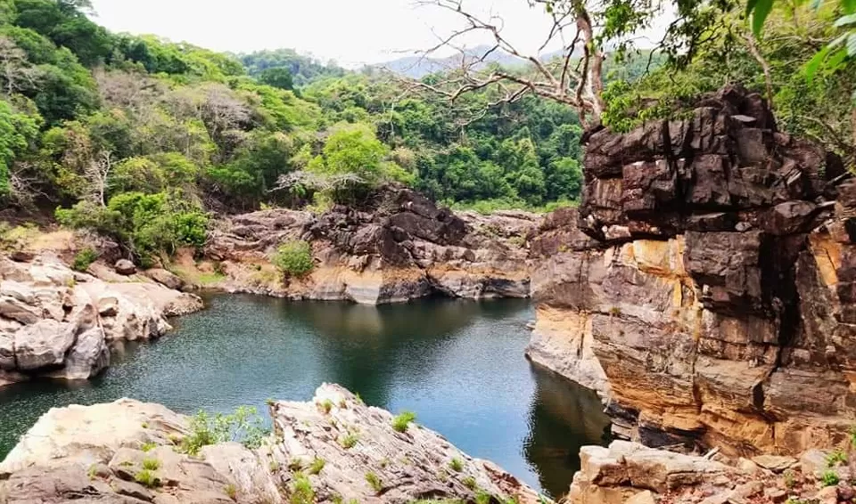 Photo of Bhimgad Wildlife Sanctuary, Belgaum Division by Tanvi Shah (travelstoriesbytan)