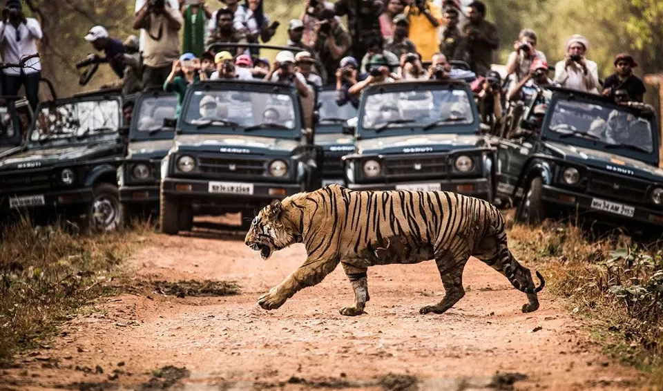 Photo of Kanha National Park, Khajara by Tanvi Shah (travelstoriesbytan)