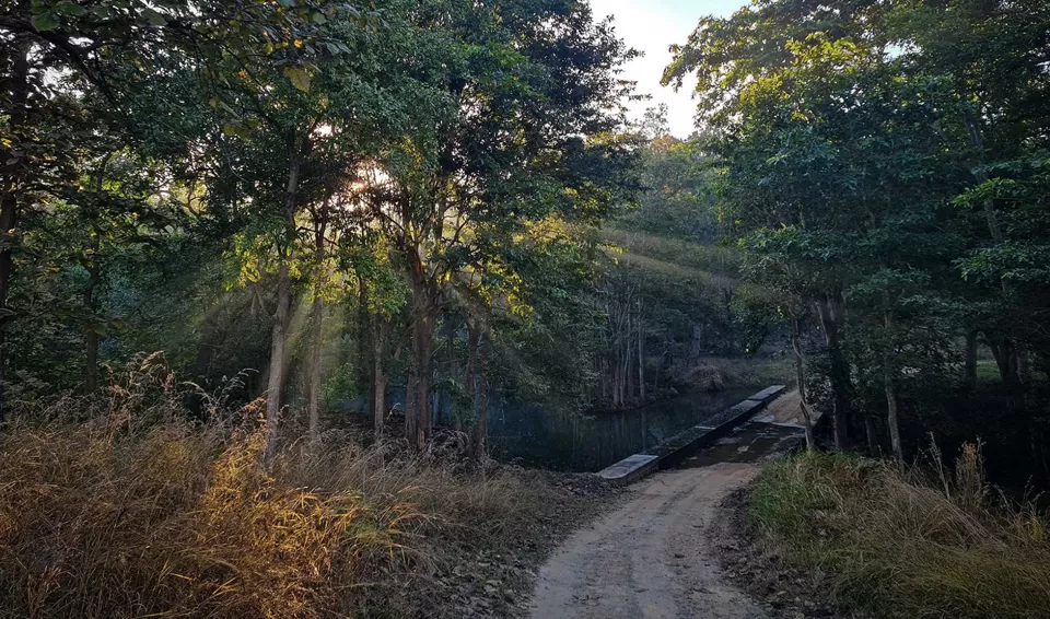 Photo of India by Tanvi Shah (travelstoriesbytan)