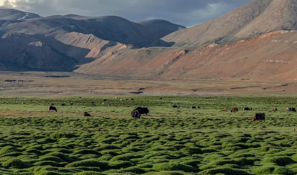 Photo of Puga valley ladakh by Tanvi Shah (travelstoriesbytan)