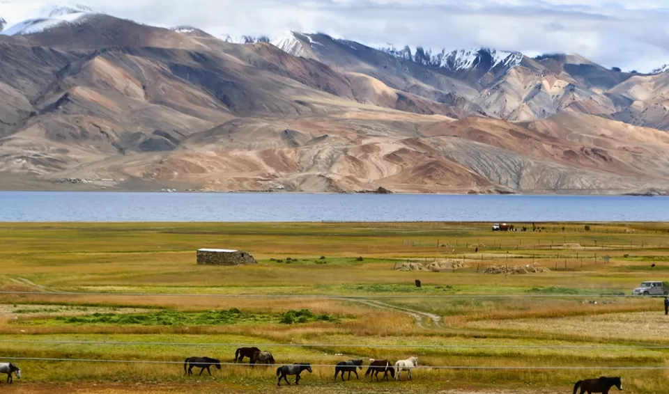 Photo of Changthang Cold Desert Wildlife Sanctuary, Merak by Tanvi Shah (travelstoriesbytan)