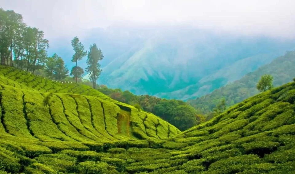Photo of Kumily, Idukki by Tanvi Shah (travelstoriesbytan)