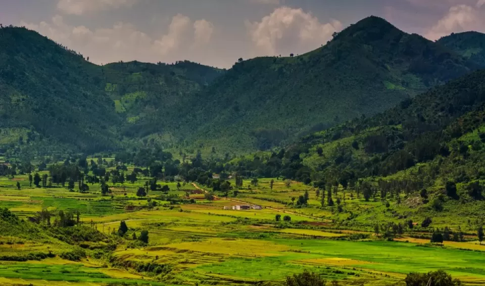 Photo of Araku Valley, Visakhapatnam by Tanvi Shah (travelstoriesbytan)