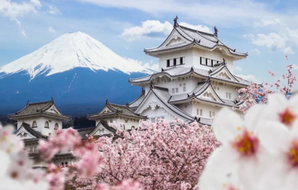 Photo of Japan by Tanvi Shah (travelstoriesbytan)